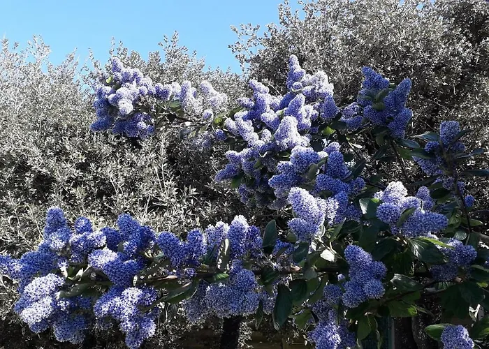 La P'tite Etape * Talmont-Saint-Hilaire