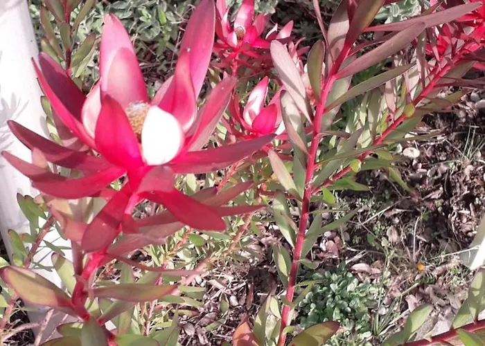 Bed & Breakfast La P'tite Etape *