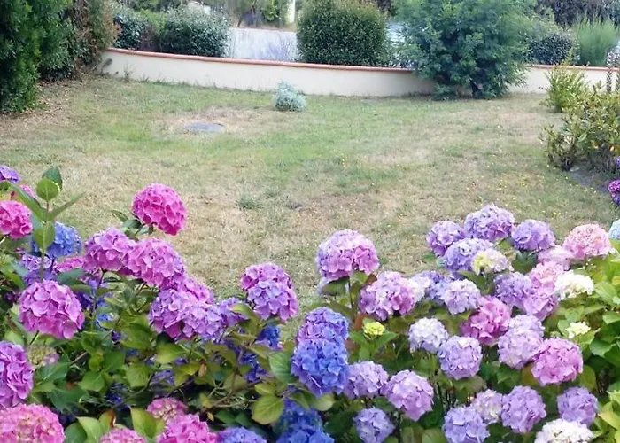 La P'tite Etape Talmont-Saint-Hilaire