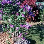 Bed & Breakfast La P'tite Etape Talmont-Saint-Hilaire