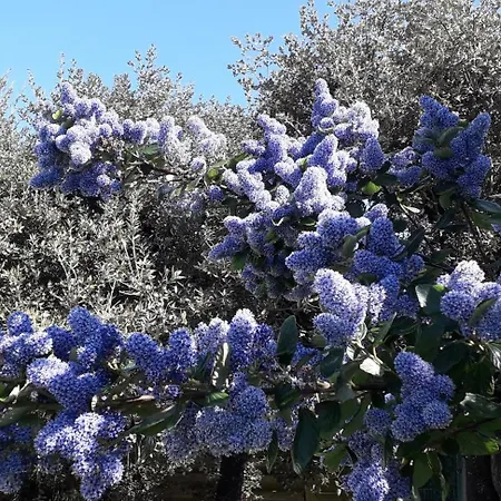 La P'tite Etape * Talmont-Saint-Hilaire