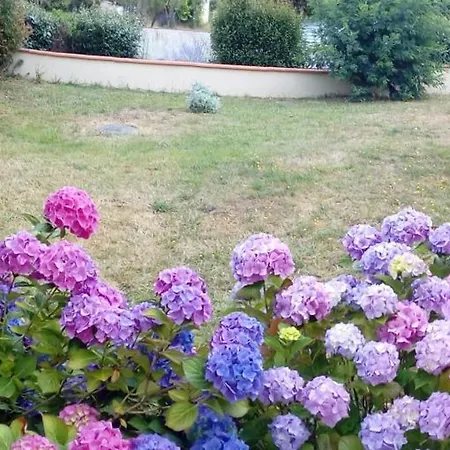 La P'tite Etape Talmont-Saint-Hilaire